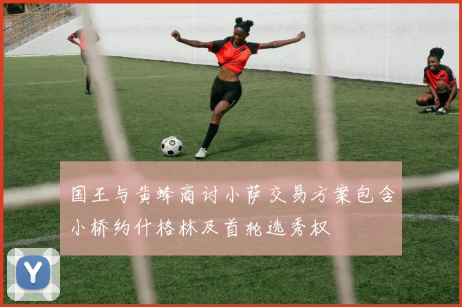 国王与黄蜂商讨小萨交易方案包含小桥约什格林及首轮选秀权