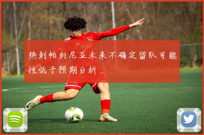 热刺帕利尼亚未来不确定留队可能性低于预期分析